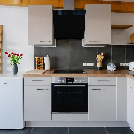 Ferienwohnung Ueber Dem Weingut Schueller Purbach am Neusiedlersee Extérieur photo