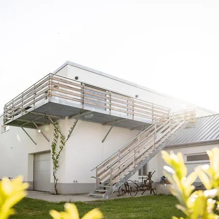 Ferienwohnung Ueber Dem Weingut Schueller Purbach am Neusiedlersee Extérieur photo