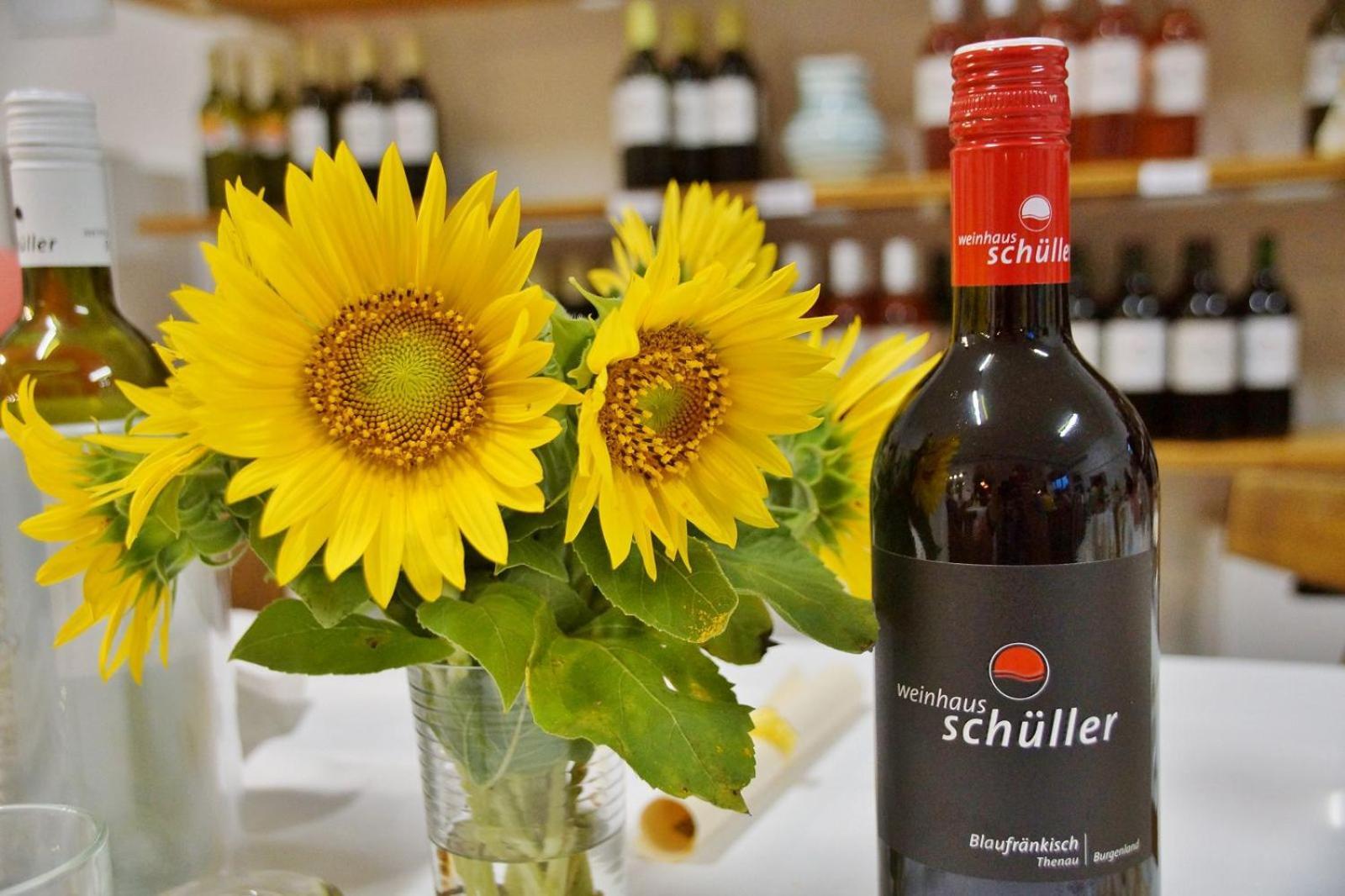 Apartment Ueber Dem Weingut Schueller